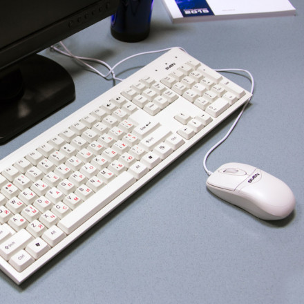 Клавиатура + мышь Standard 310 Combo USB black