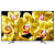 LED телевизор Sony KD75XG8096BR2
