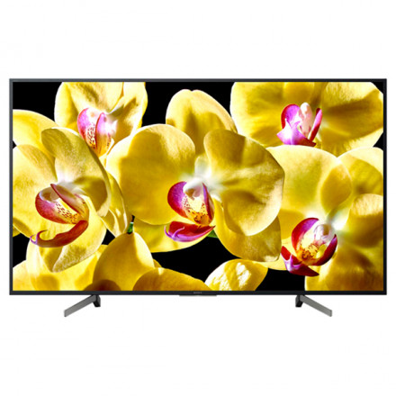 LED телевизор Sony KD65XG8096BR2