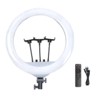 Кольцевая LED-лампа PLOKAMA LIVE-R56 (56 см / 22 дюйма) Кольцевая LED-лампа PLOKAMA LIVE-R56 (56 см / 22 дюйма)