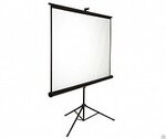 Экран для проектора Deluxe DLS-T203 96” (195x145см)