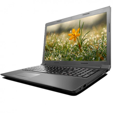 Ноутбук Lenovo-IBM IP310 i3-6006U 2.0GHz,8GB,500GB,GeForce 920M 2GB,DVDRW,15.6"HD,WF,BT,CR,WC,DOS,RUS,BLACK