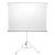 Экран для проектора i-View TR180 AV (TPS2180 T180x180)) 180 x 180 Matte White Screen TRIPOD