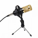 Конденсаторный микрофон BM800 на треноге  Конденсаторный микрофон BM800 на треноге