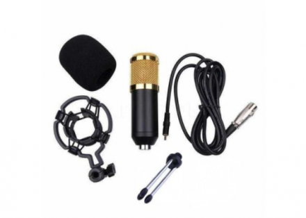 Конденсаторный микрофон BM800 на треноге + фантомное питание