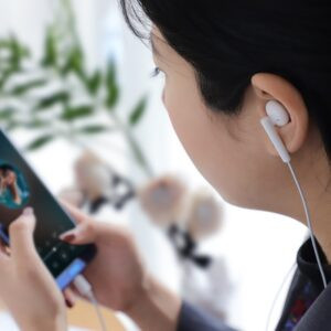 Проводные наушники Type-C HOCO L10