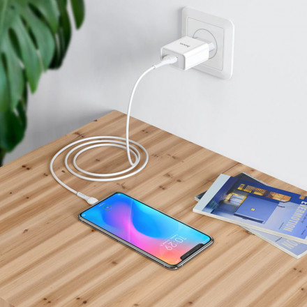 Зарядное устройство HOCO C81A