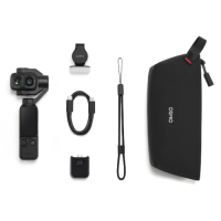 Стедикам-камера DJI Osmo Pocket 4P (Standard Combo)