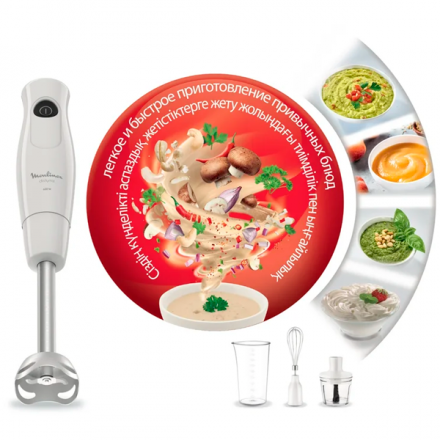 Погружной блендер Moulinex Daily mix DD533132