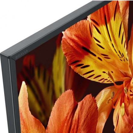 LED телевизор Sony KD49XF8596BR2 New