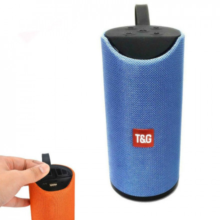 Портативная Колонка T&G 113