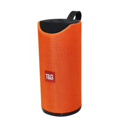 Портативная Колонка T&G 113