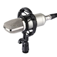  Студийный микрофон BM-700 