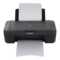 Цветное многофункциональное устройство Canon PIXMA MG2541S