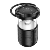 Беспроводная Колонка Borofone BP19