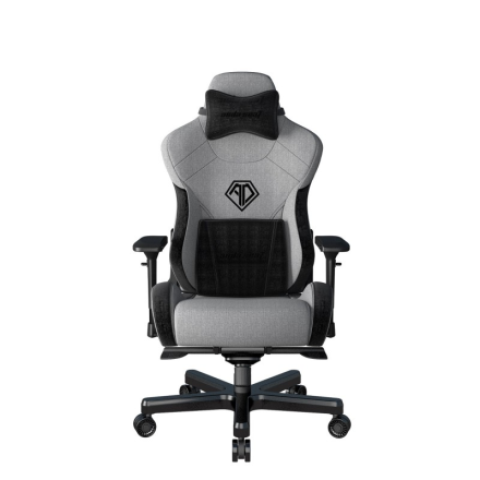 Игровое кресло AndaSeat T-Pro II Premium Gray & Black (AD12XLLA-01-GB)