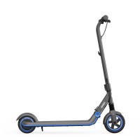 Детский Электросамокат Ninebot by Segwаy KickScooter Zing E10